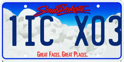 SD license plate 1ICX03