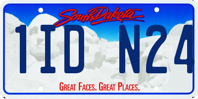 SD license plate 1IDN24