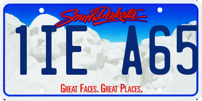 SD license plate 1IEA65