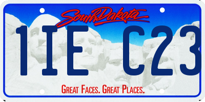 SD license plate 1IEC23