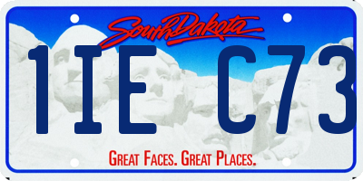 SD license plate 1IEC73