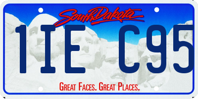 SD license plate 1IEC95