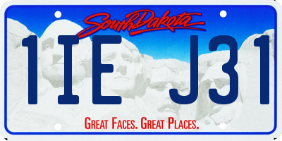 SD license plate 1IEJ31