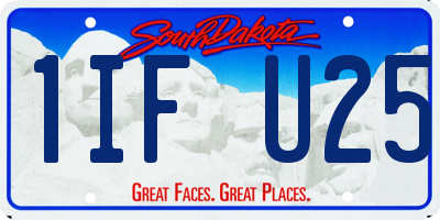 SD license plate 1IFU25