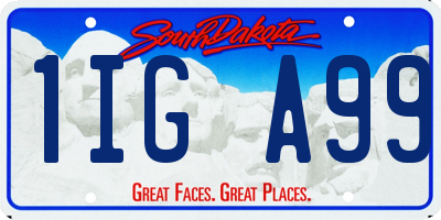SD license plate 1IGA99