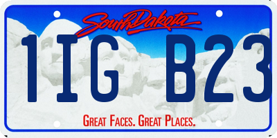 SD license plate 1IGB23
