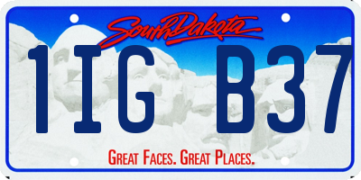 SD license plate 1IGB37