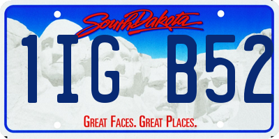 SD license plate 1IGB52