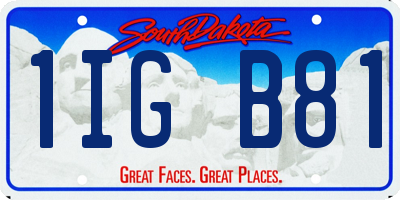 SD license plate 1IGB81