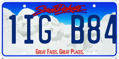 SD license plate 1IGB84