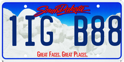 SD license plate 1IGB88