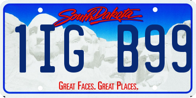 SD license plate 1IGB99