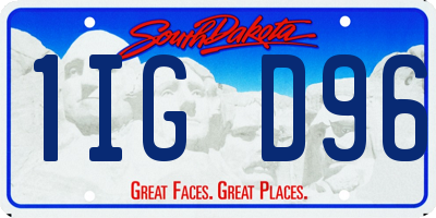 SD license plate 1IGD96
