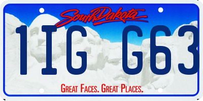 SD license plate 1IGG63