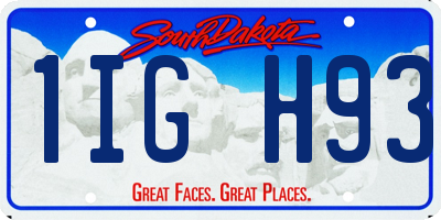 SD license plate 1IGH93
