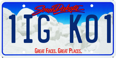 SD license plate 1IGK01