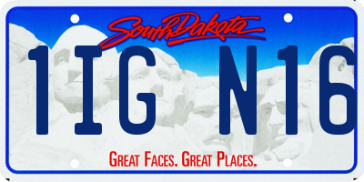 SD license plate 1IGN16