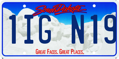 SD license plate 1IGN19
