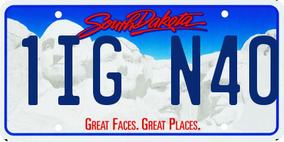 SD license plate 1IGN40