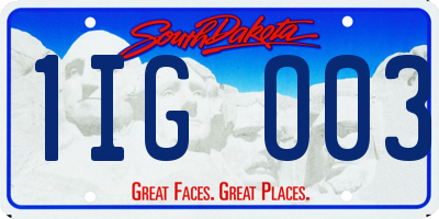 SD license plate 1IGO03