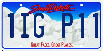 SD license plate 1IGP11