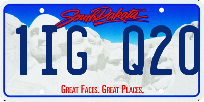 SD license plate 1IGQ20