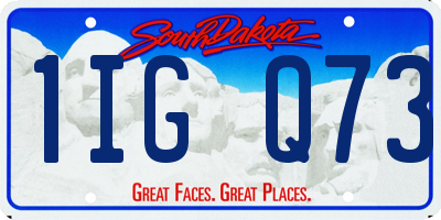 SD license plate 1IGQ73