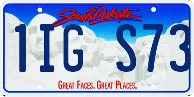 SD license plate 1IGS73