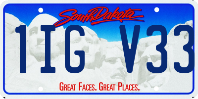 SD license plate 1IGV33