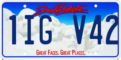 SD license plate 1IGV42