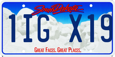 SD license plate 1IGX19