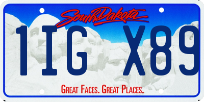 SD license plate 1IGX89