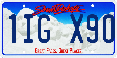 SD license plate 1IGX90
