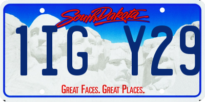 SD license plate 1IGY29