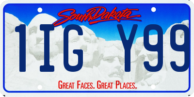 SD license plate 1IGY99