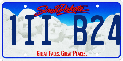 SD license plate 1IIB24