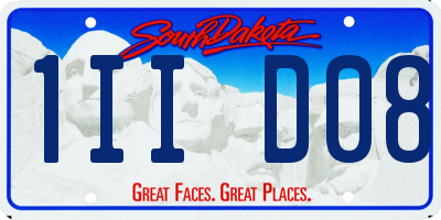 SD license plate 1IID08