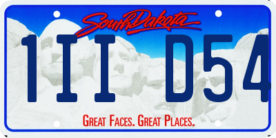 SD license plate 1IID54
