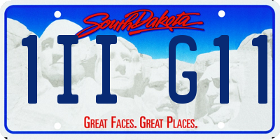 SD license plate 1IIG11
