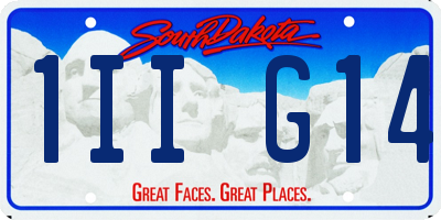 SD license plate 1IIG14