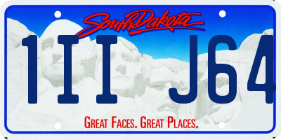 SD license plate 1IIJ64