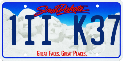 SD license plate 1IIK37