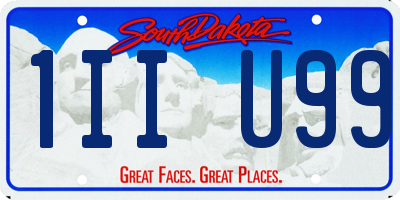 SD license plate 1IIU99