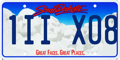 SD license plate 1IIX08
