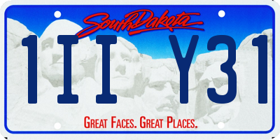 SD license plate 1IIY31