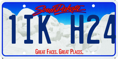 SD license plate 1IKH24