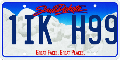 SD license plate 1IKH99