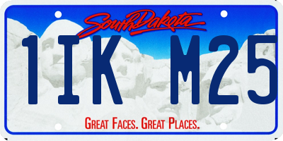 SD license plate 1IKM25