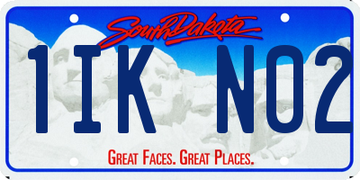 SD license plate 1IKN02