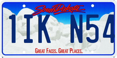 SD license plate 1IKN54